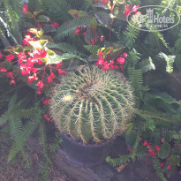 фото из отзыва ID 1265795