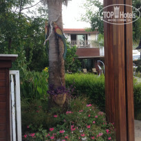 фото из отзыва ID 1265795