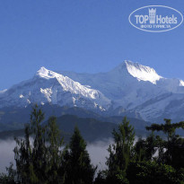 фото из отзыва ID 127052