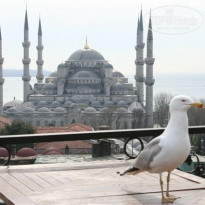 фото из отзыва ID 127583