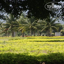 фото из отзыва ID 127692