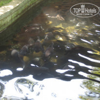 фото из отзыва ID 1270053