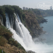 фото из отзыва ID 1270053