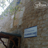 фото из отзыва ID 1270053