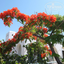 фото из отзыва ID 1270257