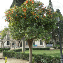 фото из отзыва ID 1270262