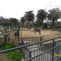 фото из отзыва ID 1270262