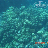 фото из отзыва ID 1270457