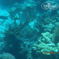 фото из отзыва ID 1270457