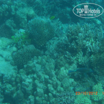 фото из отзыва ID 1270457