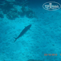 фото из отзыва ID 1270457