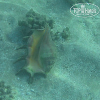 фото из отзыва ID 1270457