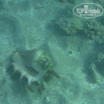 фото из отзыва ID 1270457