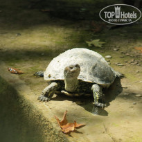 фото из отзыва ID 1270576