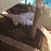 фото из отзыва ID 1270586