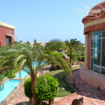 фото из отзыва ID 1270629