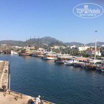 фото из отзыва ID 1270825