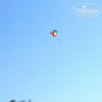 фото из отзыва ID 1271066