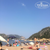 фото из отзыва ID 1270825