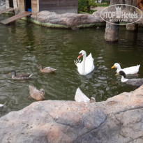 фото из отзыва ID 1271478