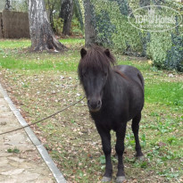 фото из отзыва ID 1271478