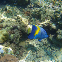 фото из отзыва ID 1270340