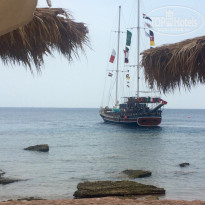 фото из отзыва ID 1271891