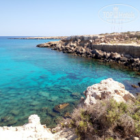 фото из отзыва ID 1271923