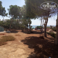 фото из отзыва ID 1271923