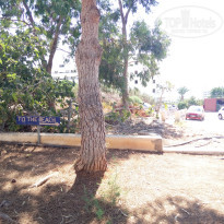 фото из отзыва ID 1271923