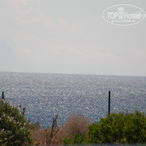 фото из отзыва ID 1272096