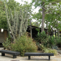 фото из отзыва ID 1272096