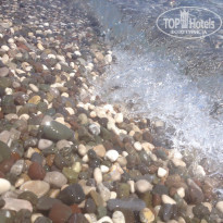 фото из отзыва ID 1272195