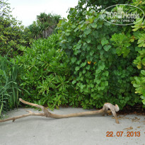 фото из отзыва ID 1272384