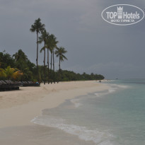 фото из отзыва ID 1272384