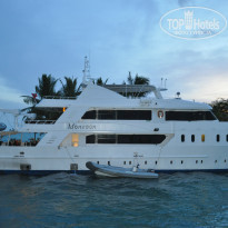 фото из отзыва ID 1272384