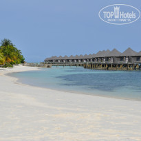 фото из отзыва ID 1272384