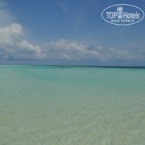 фото из отзыва ID 1272384