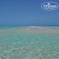 фото из отзыва ID 1272384