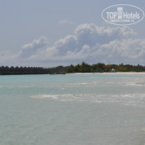 фото из отзыва ID 1272384