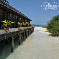 фото из отзыва ID 1272384