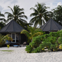 фото из отзыва ID 1272384