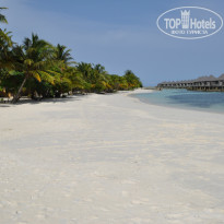 фото из отзыва ID 1272384