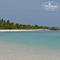 фото из отзыва ID 1272384