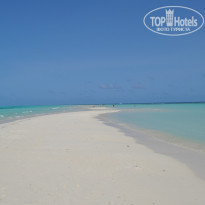 фото из отзыва ID 1272384