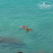 фото из отзыва ID 1272384