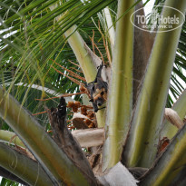 фото из отзыва ID 1272384