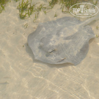 фото из отзыва ID 1272384