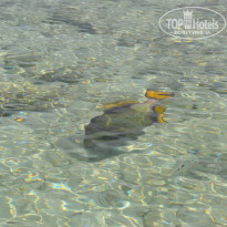 фото из отзыва ID 1272384