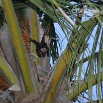 фото из отзыва ID 1272384